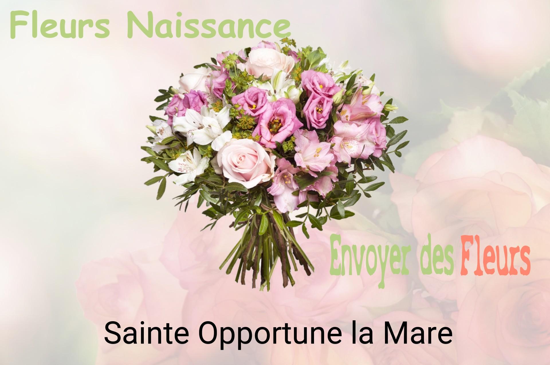 Bouquet de fleurs de naissance livré à Sainte-Opportune-la-Mare